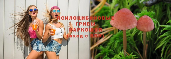 экстази Горняк