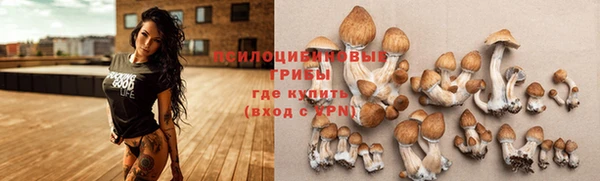 spice Горно-Алтайск