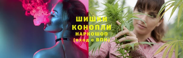 сатива Туринск