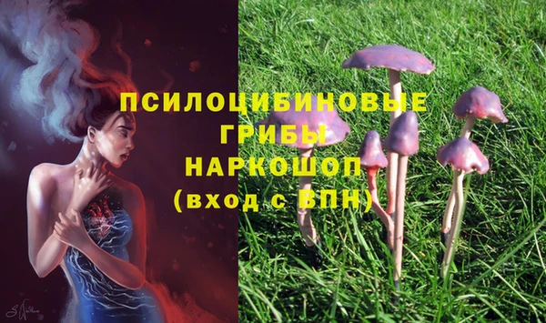 прущие крисы Волосово